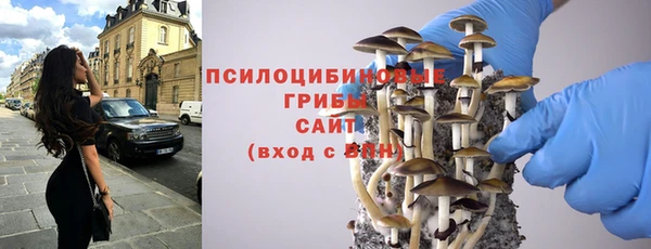шишки Алексин