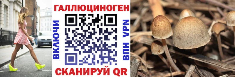 Галлюциногенные грибы GOLDEN TEACHER  Советская Гавань 