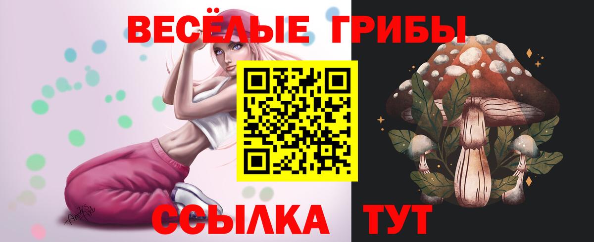 Псилоцибиновые грибы Psilocybe  Вход с VPN  Галлюциногенные грибы MAGIC MUSHROOMS  Советская Гавань 